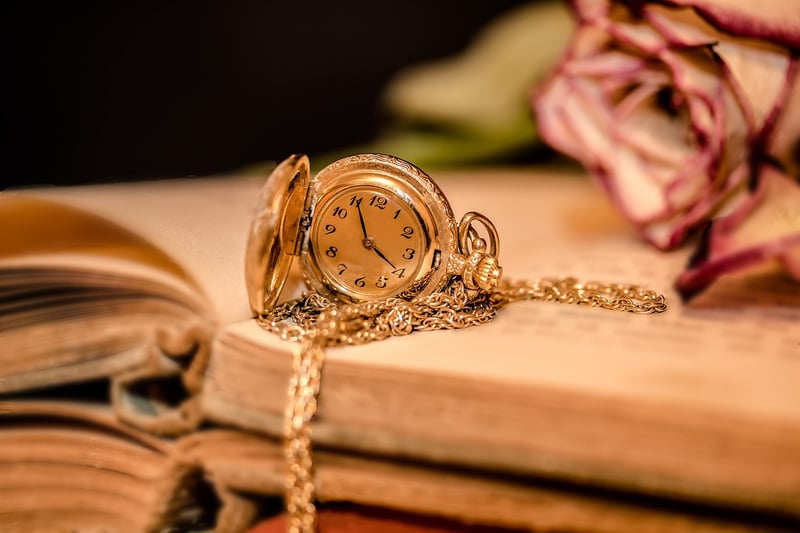 Time-Travel Dilemmas